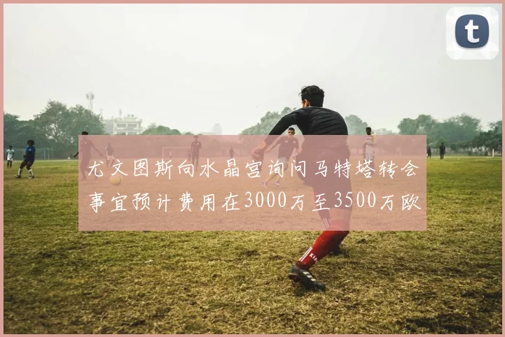 尤文图斯向水晶宫询问马特塔转会事宜预计费用在3000万至3500万欧元之间
