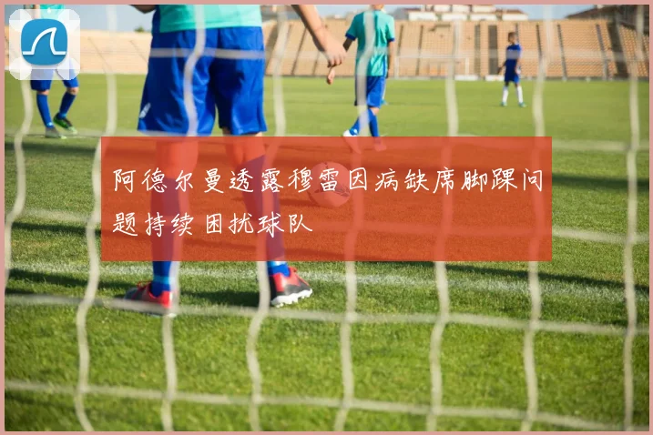 阿德尔曼透露穆雷因病缺席脚踝问题持续困扰球队