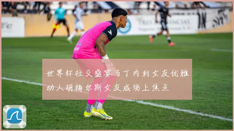 世界杯社交盛宴马丁内利女友优雅动人胡梅尔斯女友成场上焦点